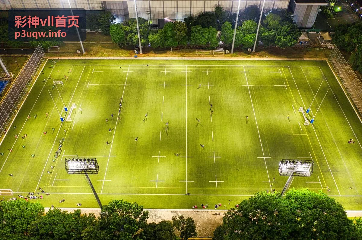 彩神vll首页走势分析近50期号码走势形态总览图